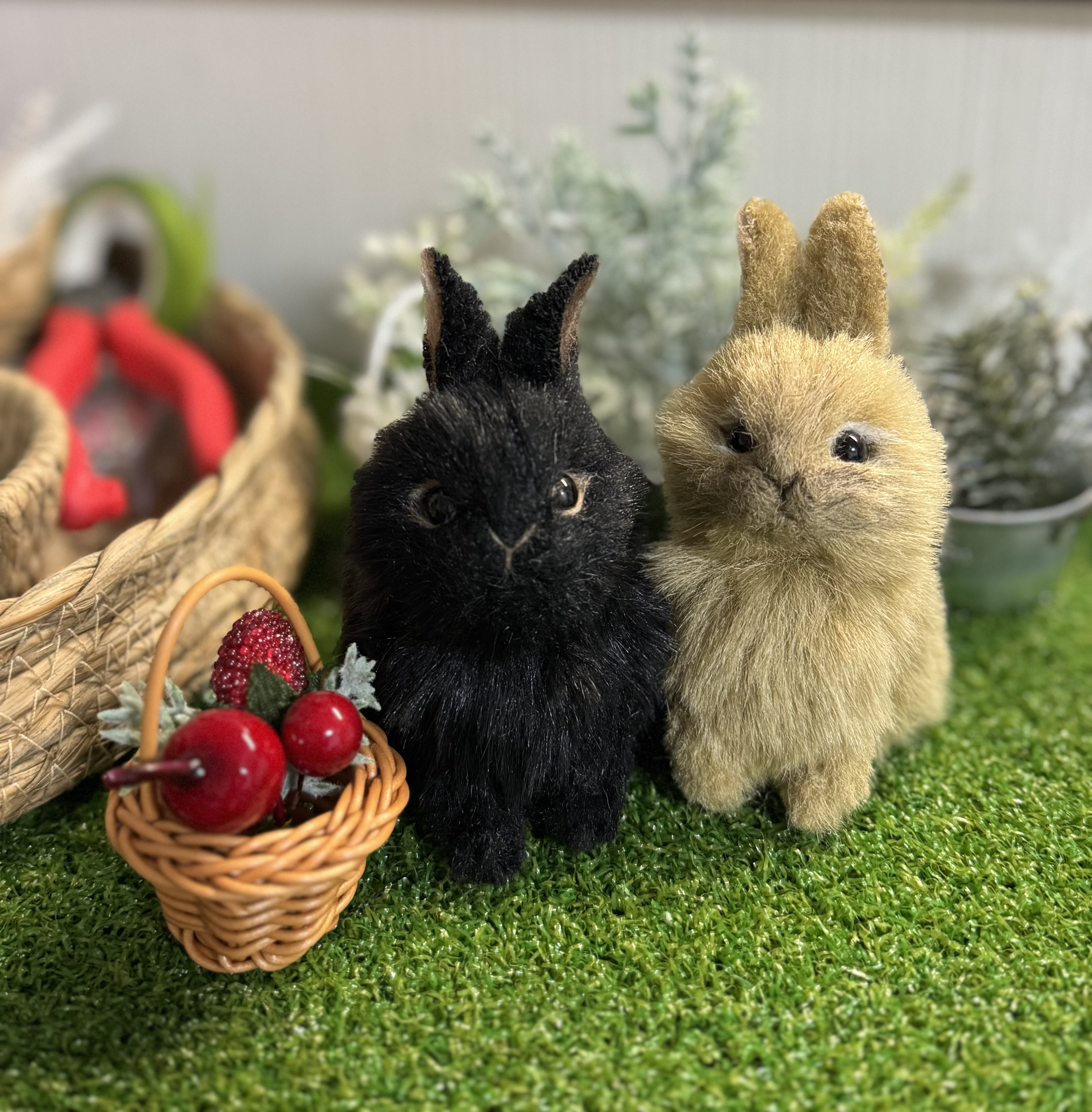 [1点もの］ここにいていいんだよ」うさぎのクロ