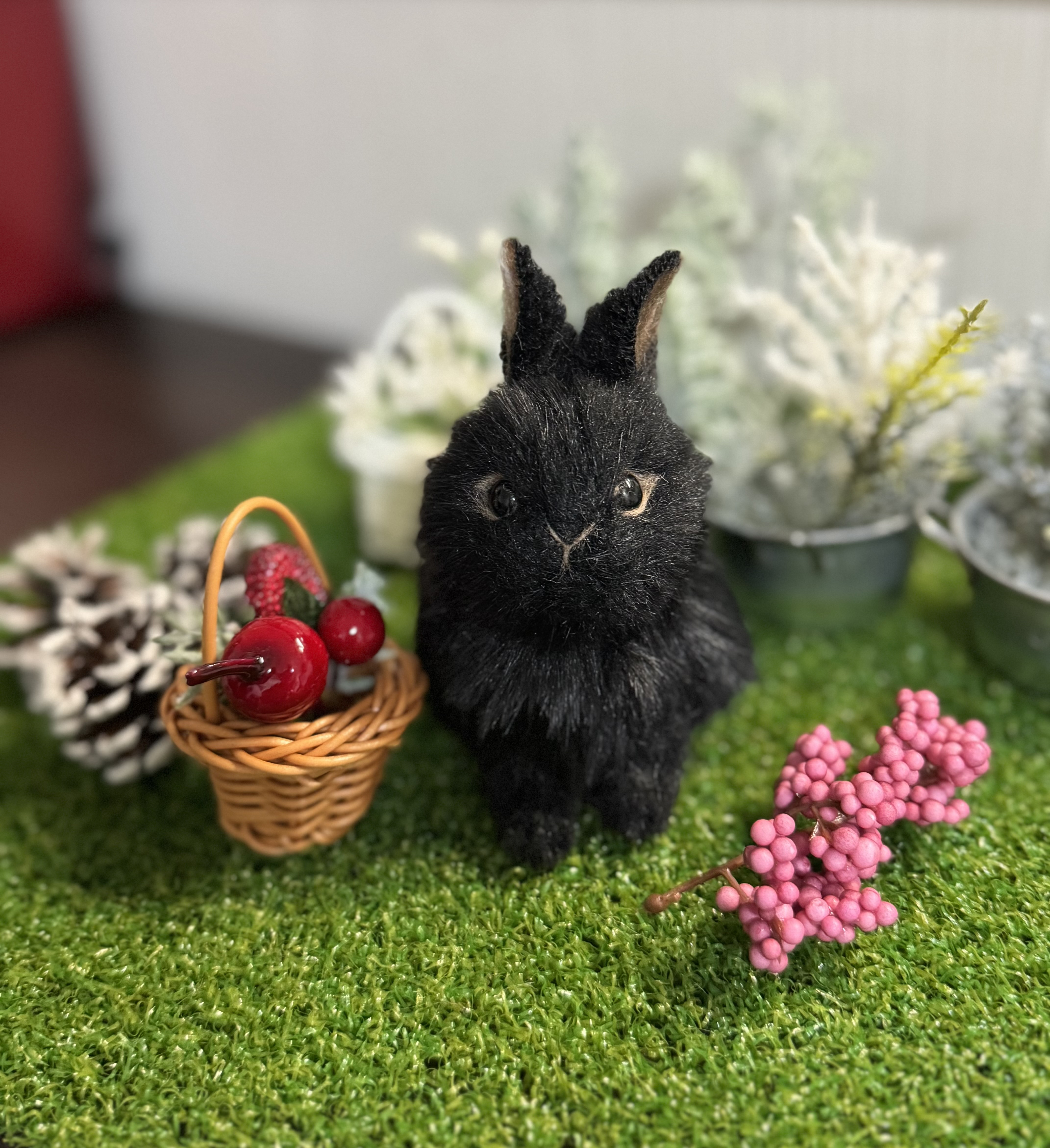 [1点もの］ここにいていいんだよ」うさぎのクロ