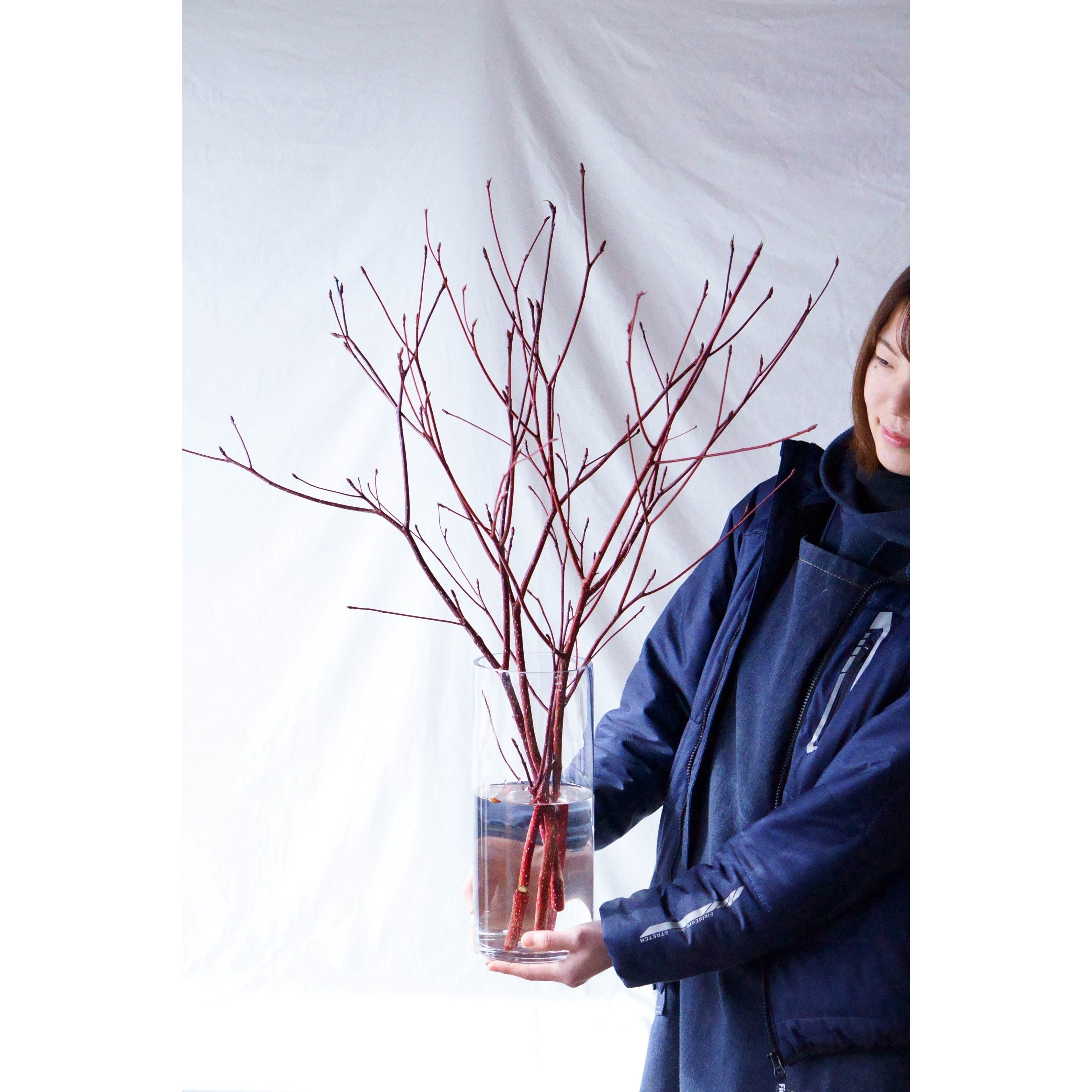 珊瑚水木｜Lサイズ【ガラス花瓶セット】 6,864円