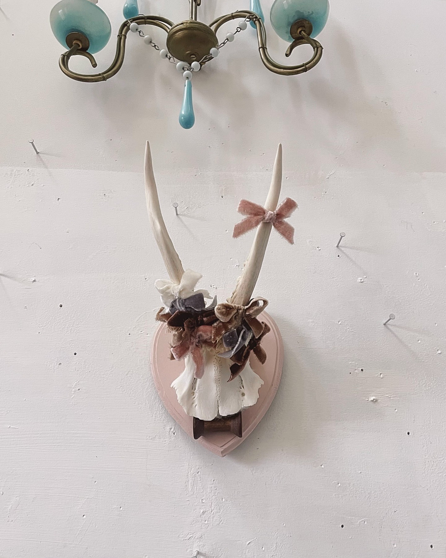 hunting trophy " ribbon " ハンティングトロフィー 鹿角 リボン アンティーク