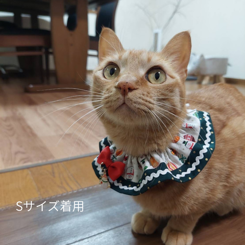 SALE！ 猫用 犬用 フリルスタイ M〜Lサイズ｜おしゃれ つけ襟 首輪