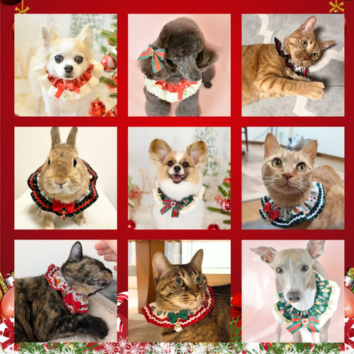 SALE！ 猫用 犬用 フリルスタイ M〜Lサイズ｜おしゃれ つけ襟 首輪