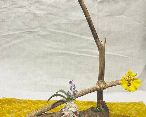 一点物　流木　ハンドメイドスター 一点物】流木アート（アクセサリー掛け） その他インテリア雑貨 ユタ吉