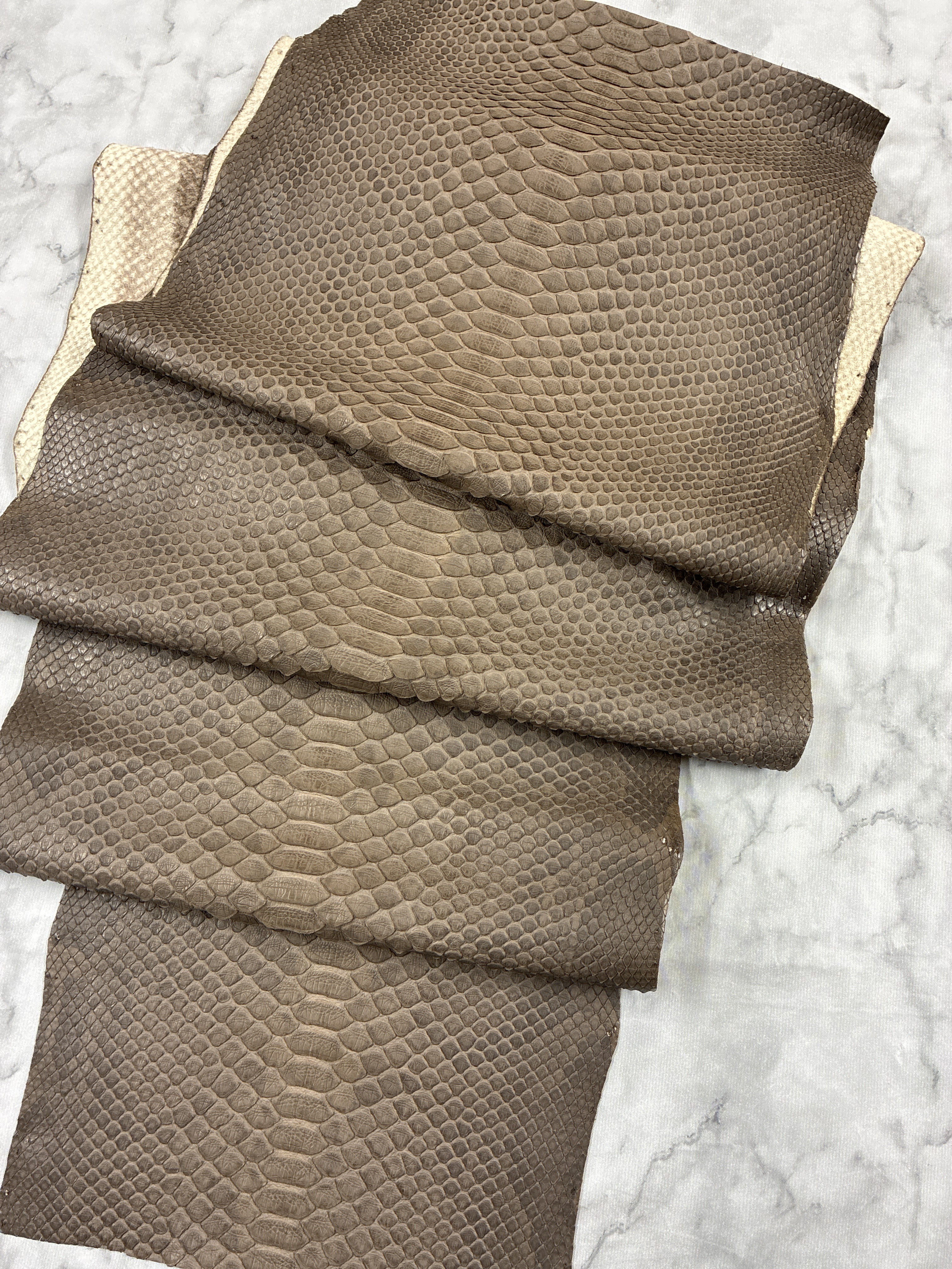 パイソン ヘビ革 ブラウン×マット 220cm_P280