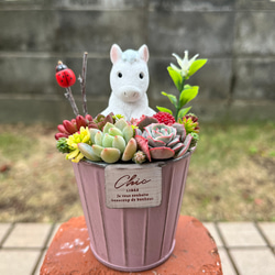 ❤️専用❤️多肉植物❤️そのまま飾れる寄せ植え❤️トナカイさん&シロクマさん❤️ ☆送料無料☆♡そのまま飾れる♡クリスマス☆トナカイの多肉植物寄せ