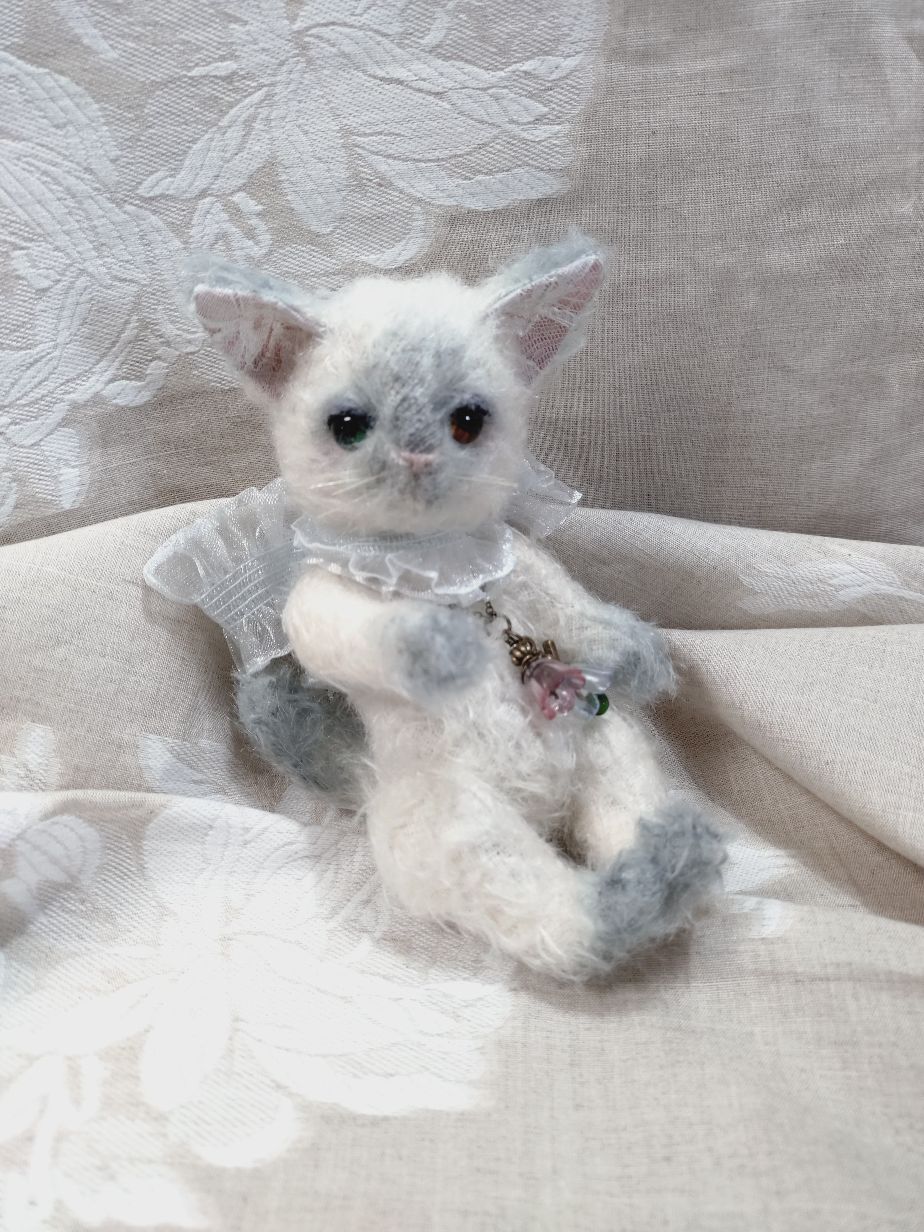 オッドアイのシャム猫