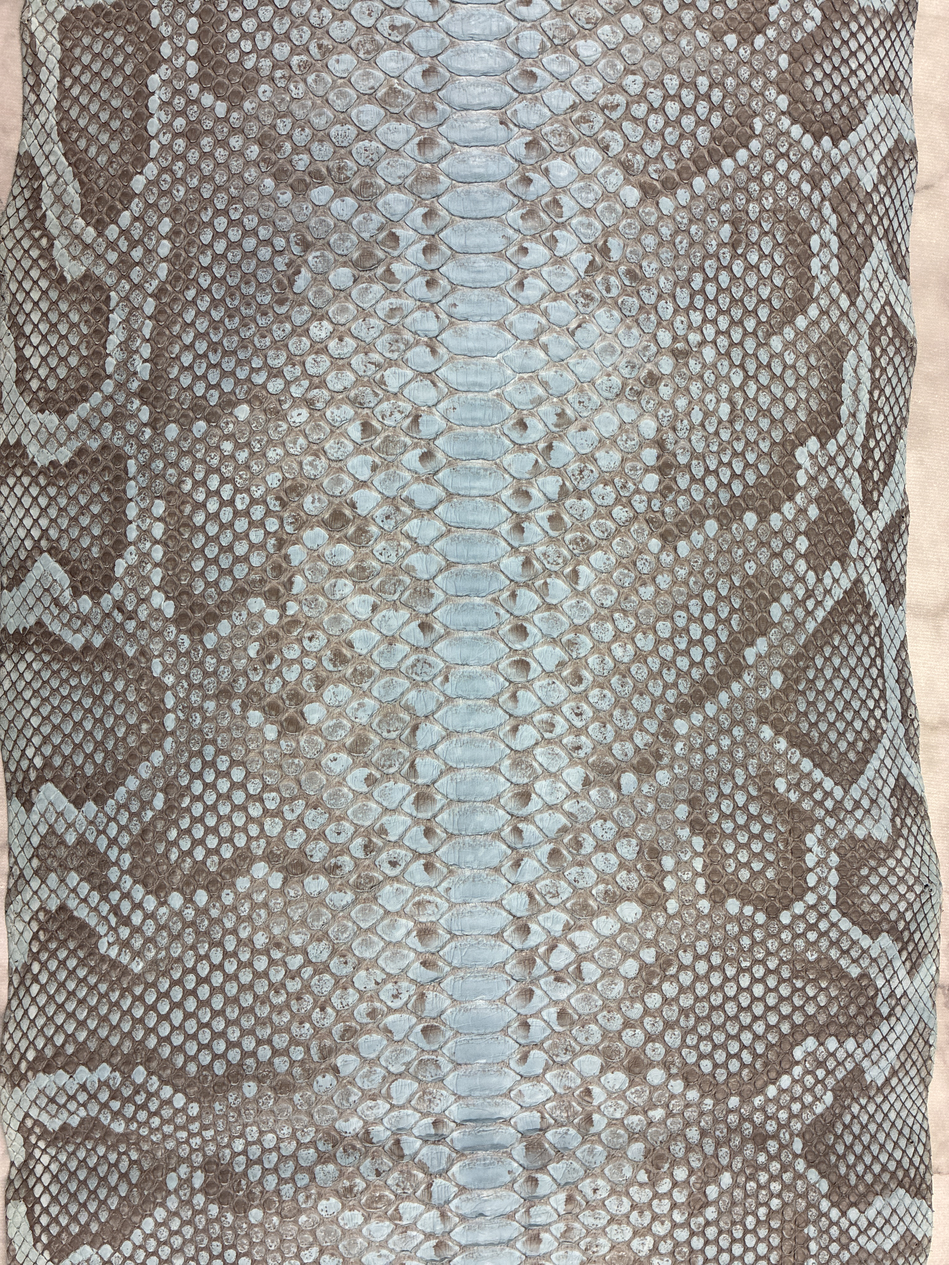 パイソン ヘビ革 スカイブルー×マット 200cm_P285