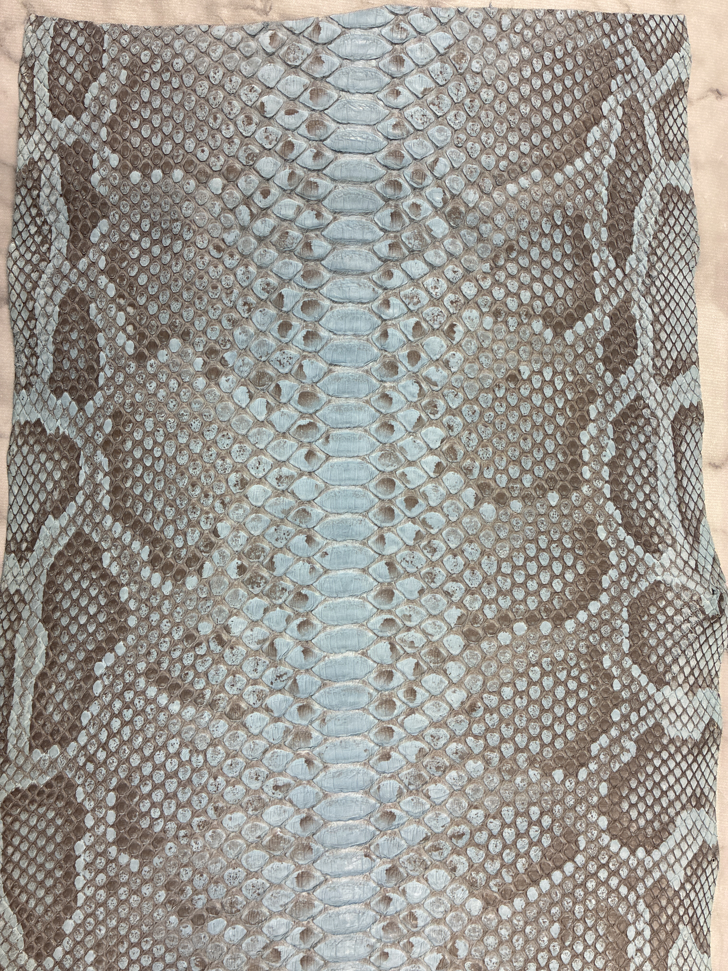 パイソン ヘビ革 スカイブルー×マット 200cm_P285