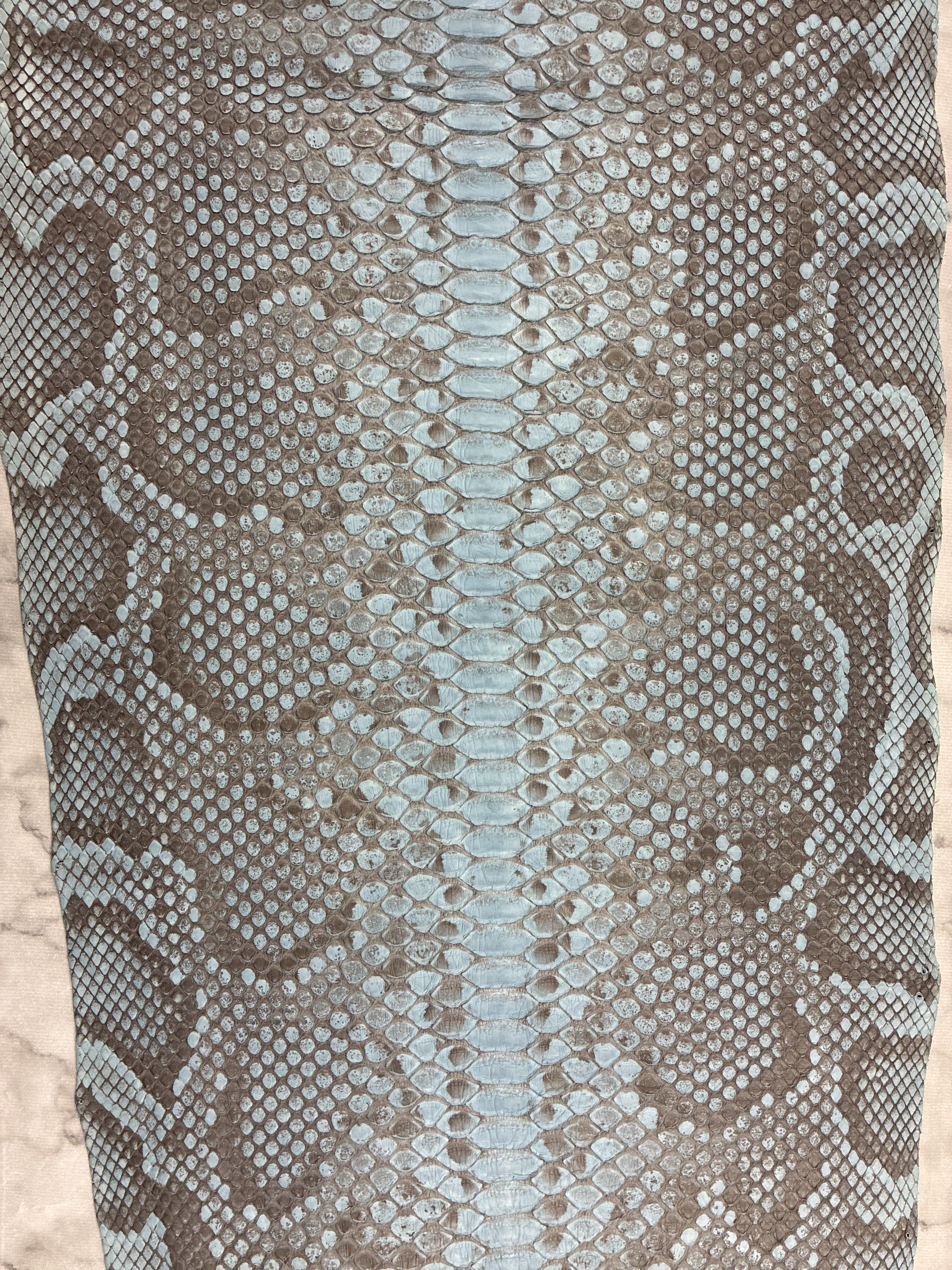 パイソン ヘビ革 スカイブルー×マット 200cm_P285