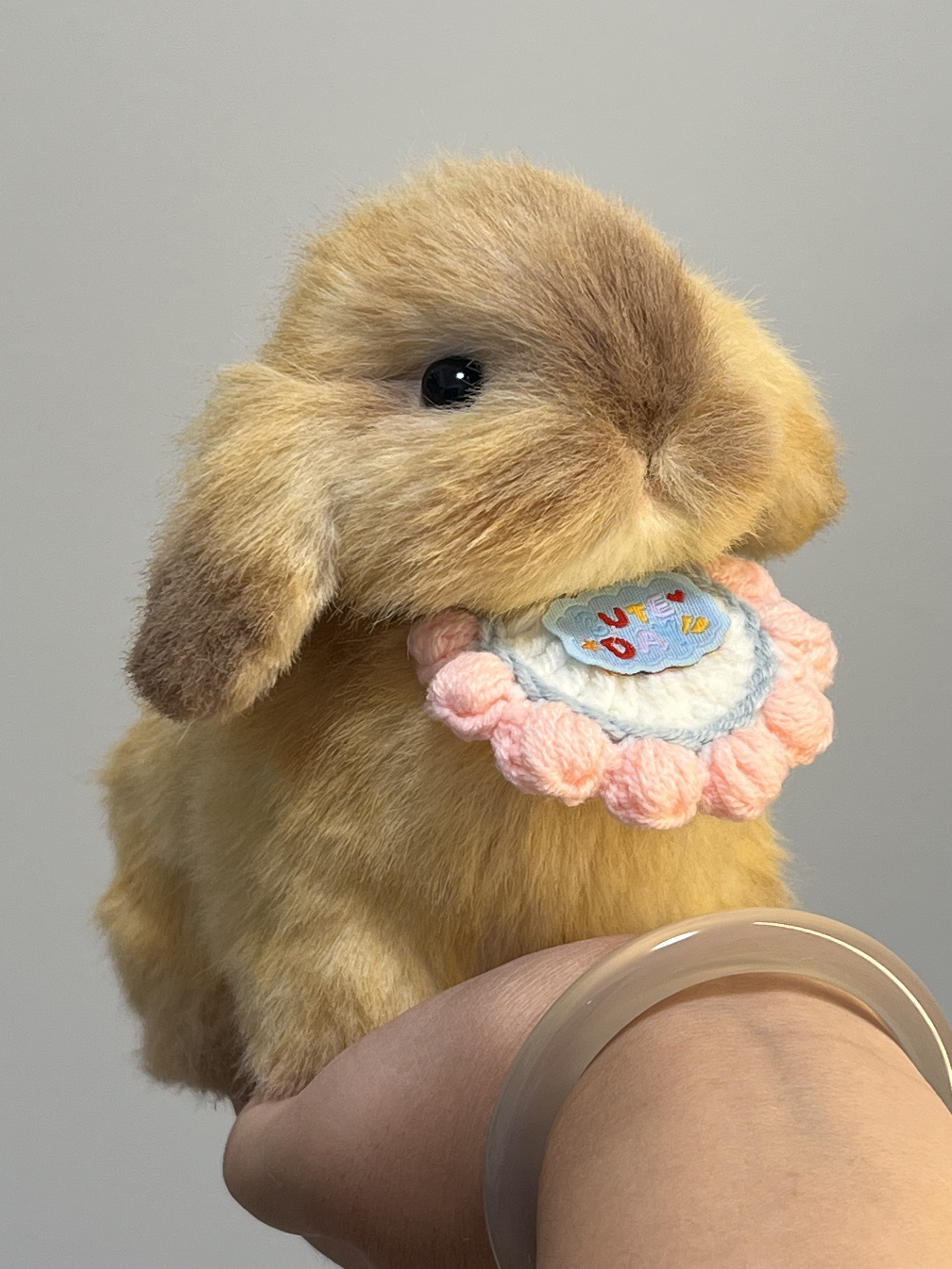 Mochi Bunny｜ミニキャラメルシーソルトバニーぬいぐるみ｜ふわもこ游び心ぬいぐるみ