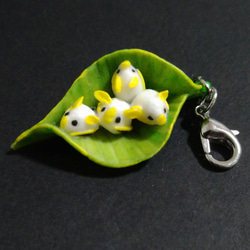 ファスナーチャーム のおすすめ人気通販 検索結果｜Creema(クリーマ