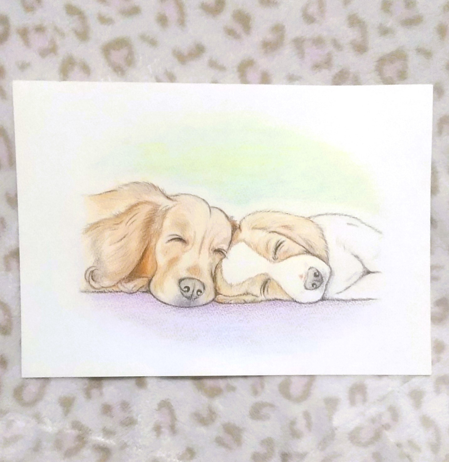 「おんなじ夢見てる」 4,440円