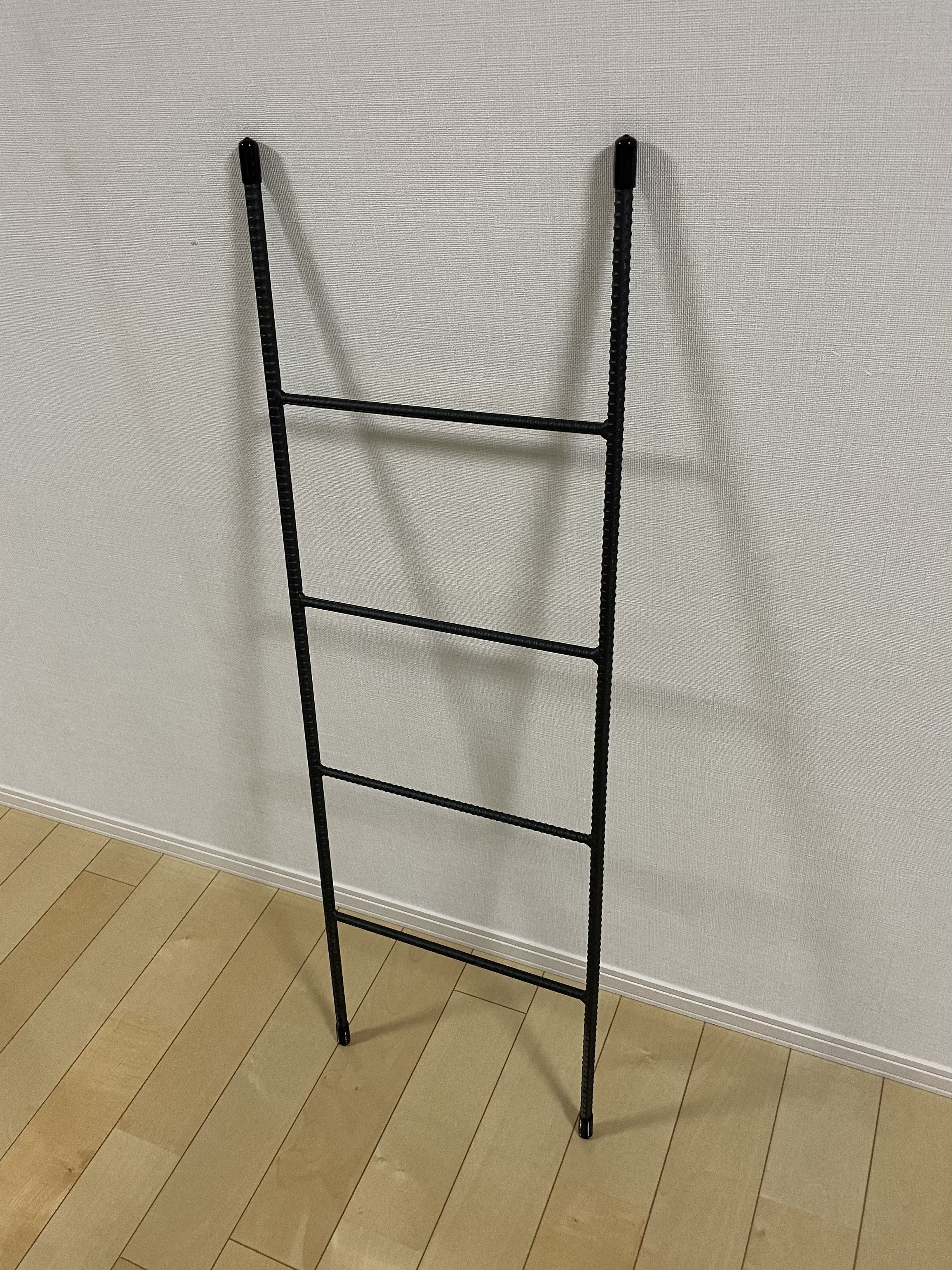 アイアンラダーラックD