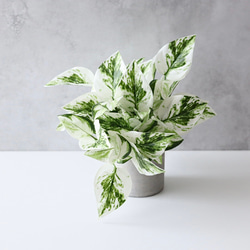 トラノオ サンセベリア サンスベリア フェイクグリーン 人工観葉植物