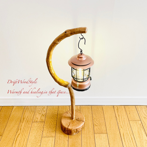 美しく曲線を描くのSサイズの流木スタンド エアプラントを飾れる置物 N3 2枚目の画像