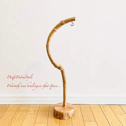 美しく曲線を描くのSサイズの流木スタンド エアプラントを飾れる置物 N3 10枚目の画像