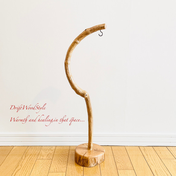 美しく曲線を描くのSサイズの流木スタンド エアプラントを飾れる置物 N3 10枚目の画像