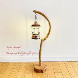 美しく曲線を描くのSサイズの流木スタンド エアプラントを飾れる置物 N3 4枚目の画像