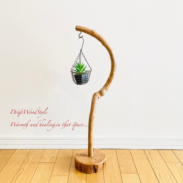 美しく曲線を描くのSサイズの流木スタンド エアプラントを飾れる置物 N3 7枚目の画像