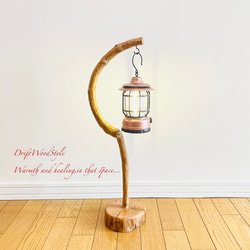 流木インテリア 美しい曲線を描く流木スタンド ランタンやエアプラント