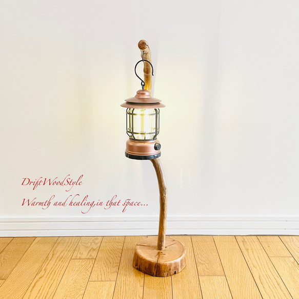 美しく曲線を描くのSサイズの流木スタンド エアプラントを飾れる置物 N3 3枚目の画像