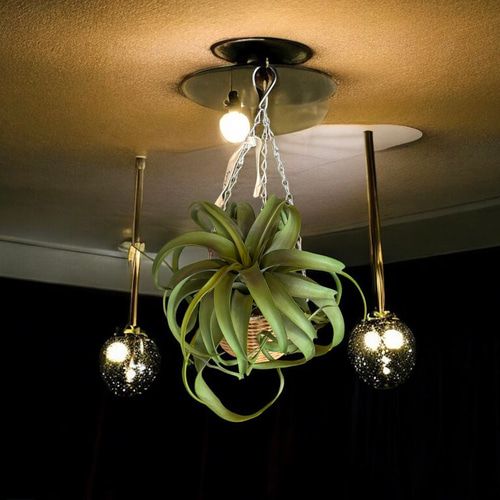 光触媒 人工観葉植物 ウォールグリーン フェイクグリーン 壁掛け