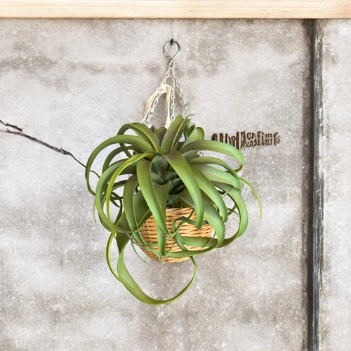 光触媒 人工観葉植物 ウォールグリーン フェイクグリーン 壁掛け