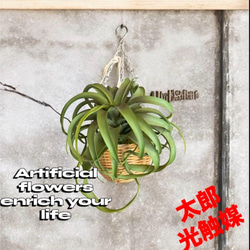 光触媒 人工観葉植物 ウォールグリーン フェイクグリーン ウッド