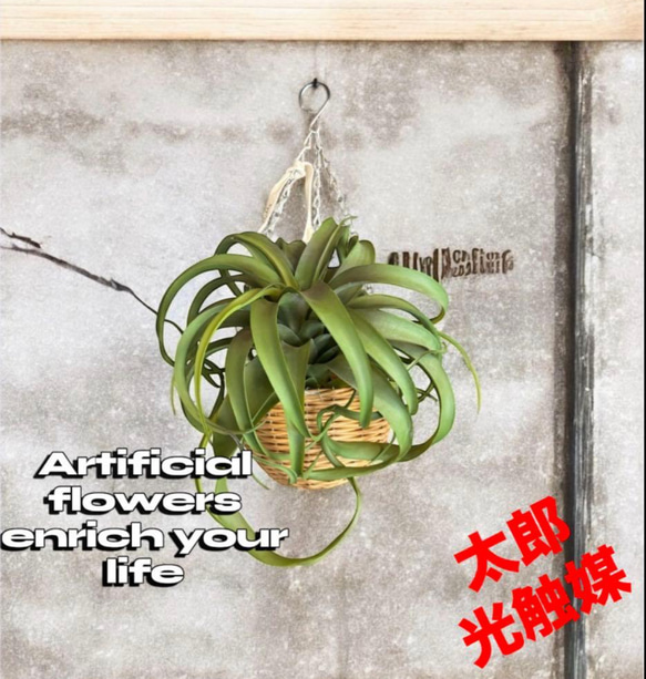 光触媒 人工観葉植物 ウォールグリーン フェイクグリーン 壁掛け