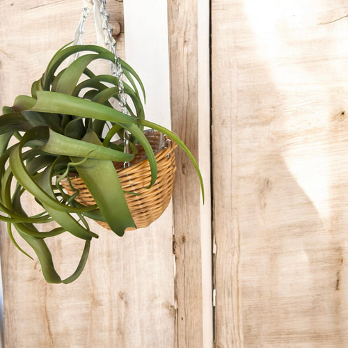 光触媒 人工観葉植物 ウォールグリーン フェイクグリーン 壁掛け