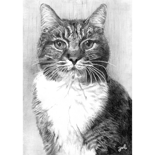 値下げしました！オリジナルのペットの鉛筆画 オーダーメイド☆ペットリアル鉛筆画 絵画 onta3336 通販 20228106