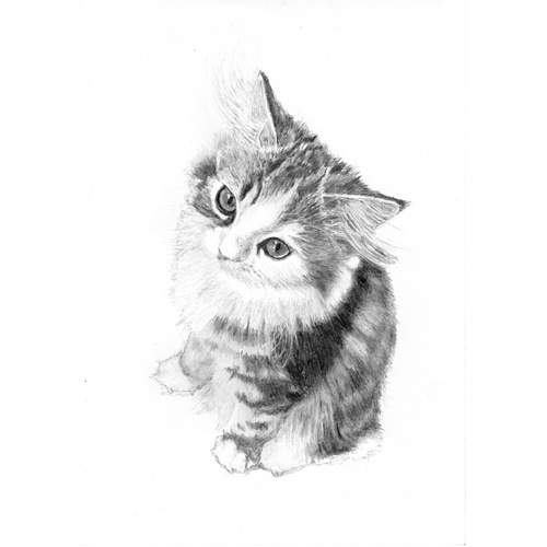 オーダーメイド☆ペットリアル鉛筆画 絵画 onta3336 通販 20228106