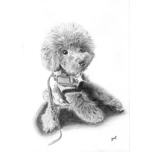 オーダーメイド☆ペットリアル鉛筆画 絵画 onta3336 通販 20228106