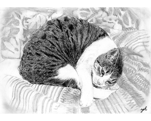 絵のご依頼承ります(1人➕鉛筆のみ) オーダーメイド☆ペットリアル鉛筆画 絵画 onta3336 通販 20228106