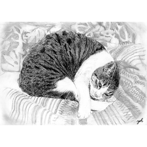 値下げしました！オリジナルのペットの鉛筆画 オーダーメイド☆ペットリアル鉛筆画 絵画 onta3336 通販 20228106