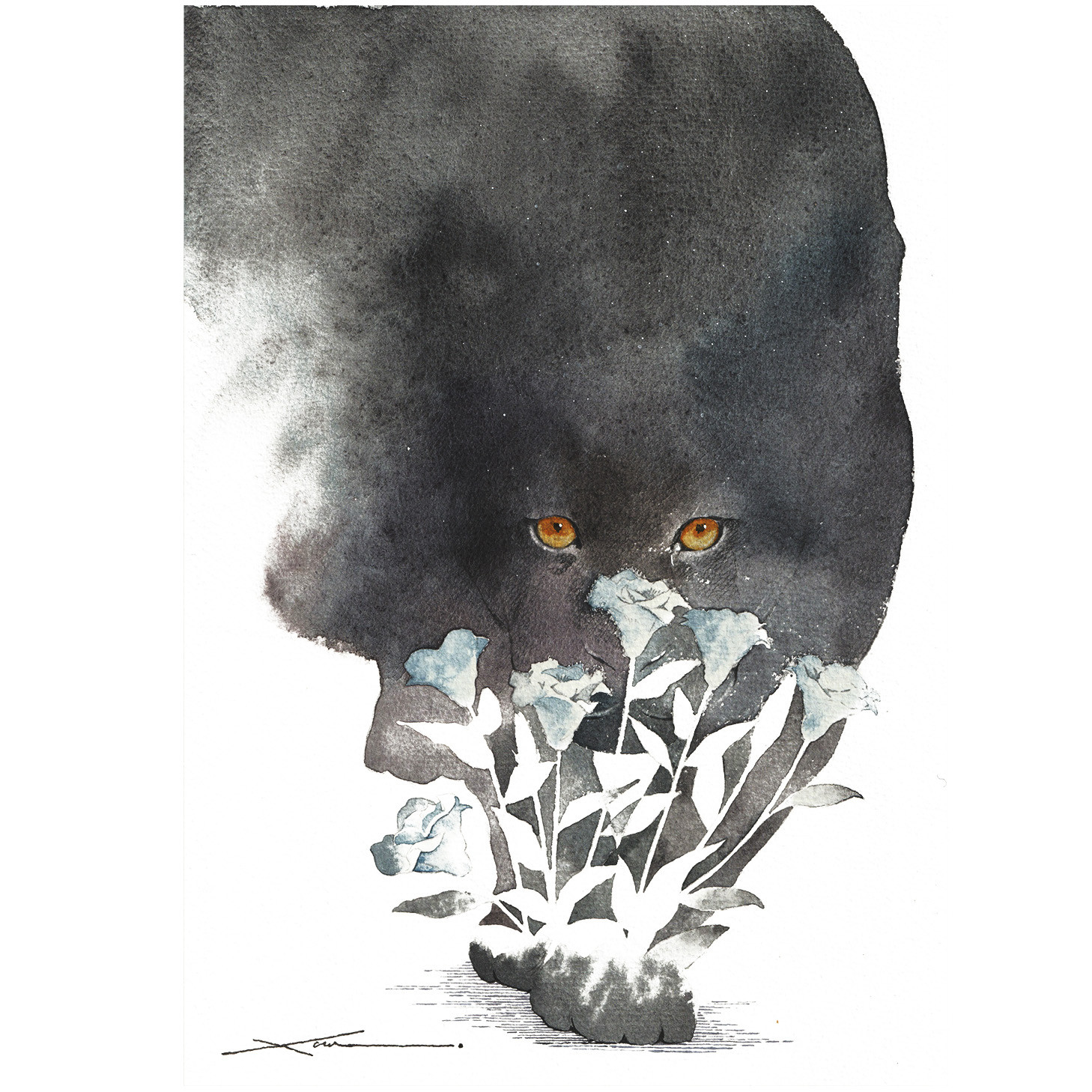 黒豹_水彩原画_イラスト