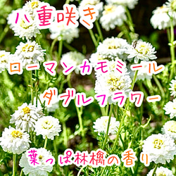 fb24549c083f4360dbb8e8493779fb