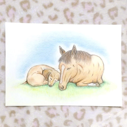 動物達の音楽会　絵画 動物たちの音楽会」 イラスト cocoloya 通販 19023108｜Creema