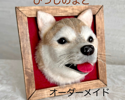 a2ca5e4548b9dd3cd8f62bbec3d6a7