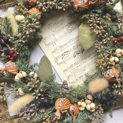 ユーカリのスワッグ ドライフラワー ドライフラワー Eucalyptus 通販