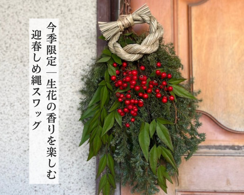 a254f565dd7f1b241eaac3ae369534