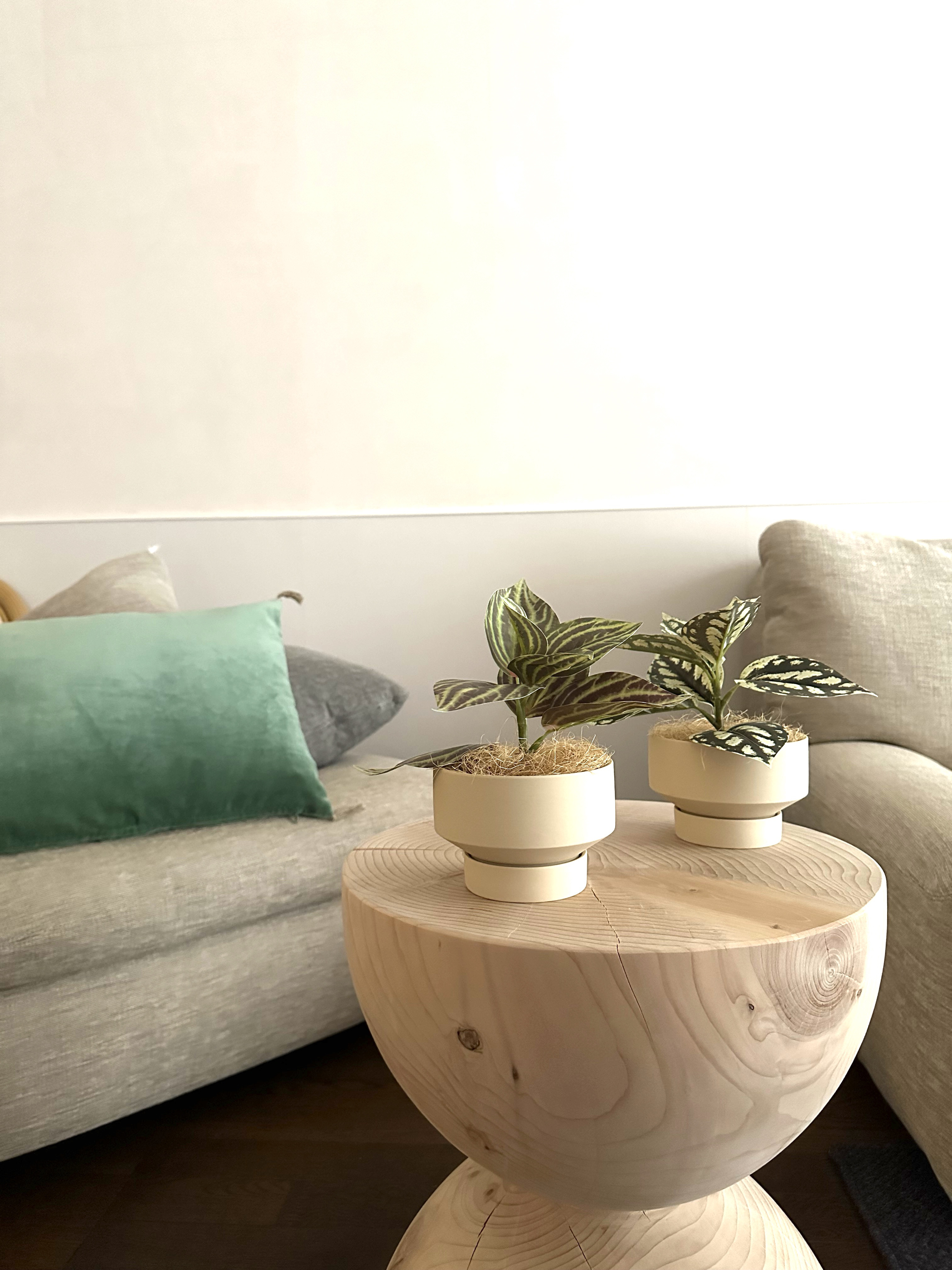 フェイクグリーン ピレアシルバーツリー（淡いクリーム色陶器ポット）／置くだけインテリアグリーン