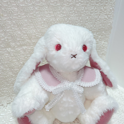 うさぎ ぬいぐるみ のおすすめ人気通販｜Creema(クリーマ) 国内最大の