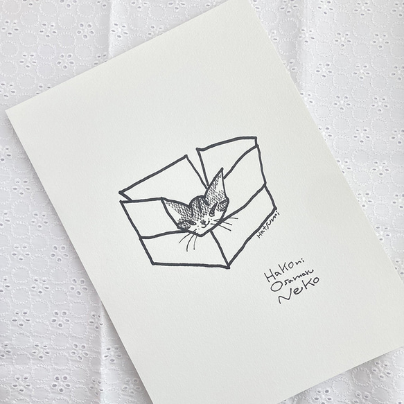 イラスト原画）箱におさまる猫 ※原画のみ/額なし※ 原画 イラスト