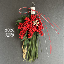 送料無料＞2026 大王松のしめ縄飾り しめ縄・しめ飾り わかの水引 通販