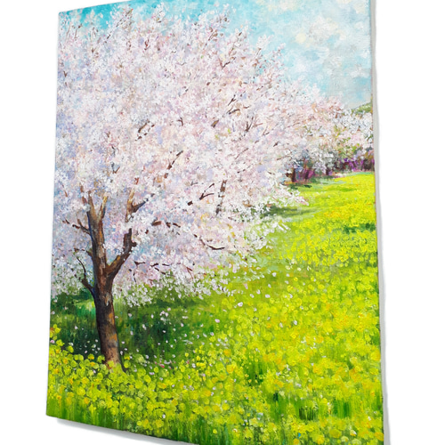 一点物】『 花霞の向こう －桜と菜の花－ 』油絵 F6号 油彩 インテリア