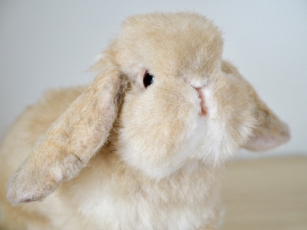 ポーズを自由に変えられる♪うさぎのぬいぐるみ（1点もの）