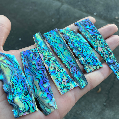 アワビ貝 アバロン貝 ニュージーランド産 6枚セット 高級な品 螺鈿細工