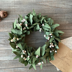 クリスマスリース】コニファーブルーアイスリース 香りの癒し 生葉から