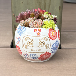 多肉植物 寄せ植え そのまま飾れる✧*｡٩(ˊωˋ*)و✧*ピンク楕円鉢 多肉